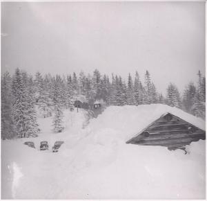 Vintern 1951 (250-2)